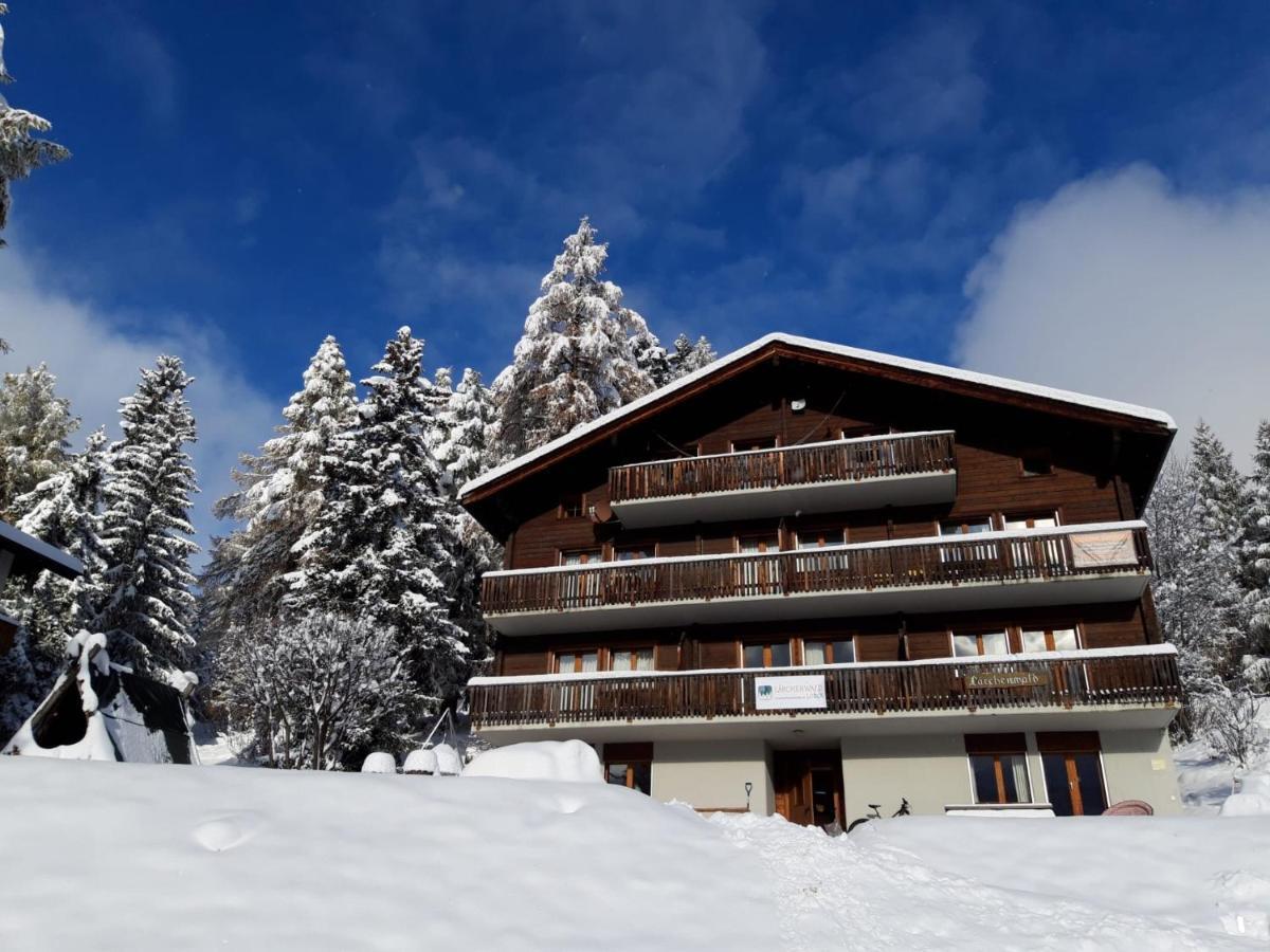 Laerchenwald Lodge Bellwald Eksteriør billede