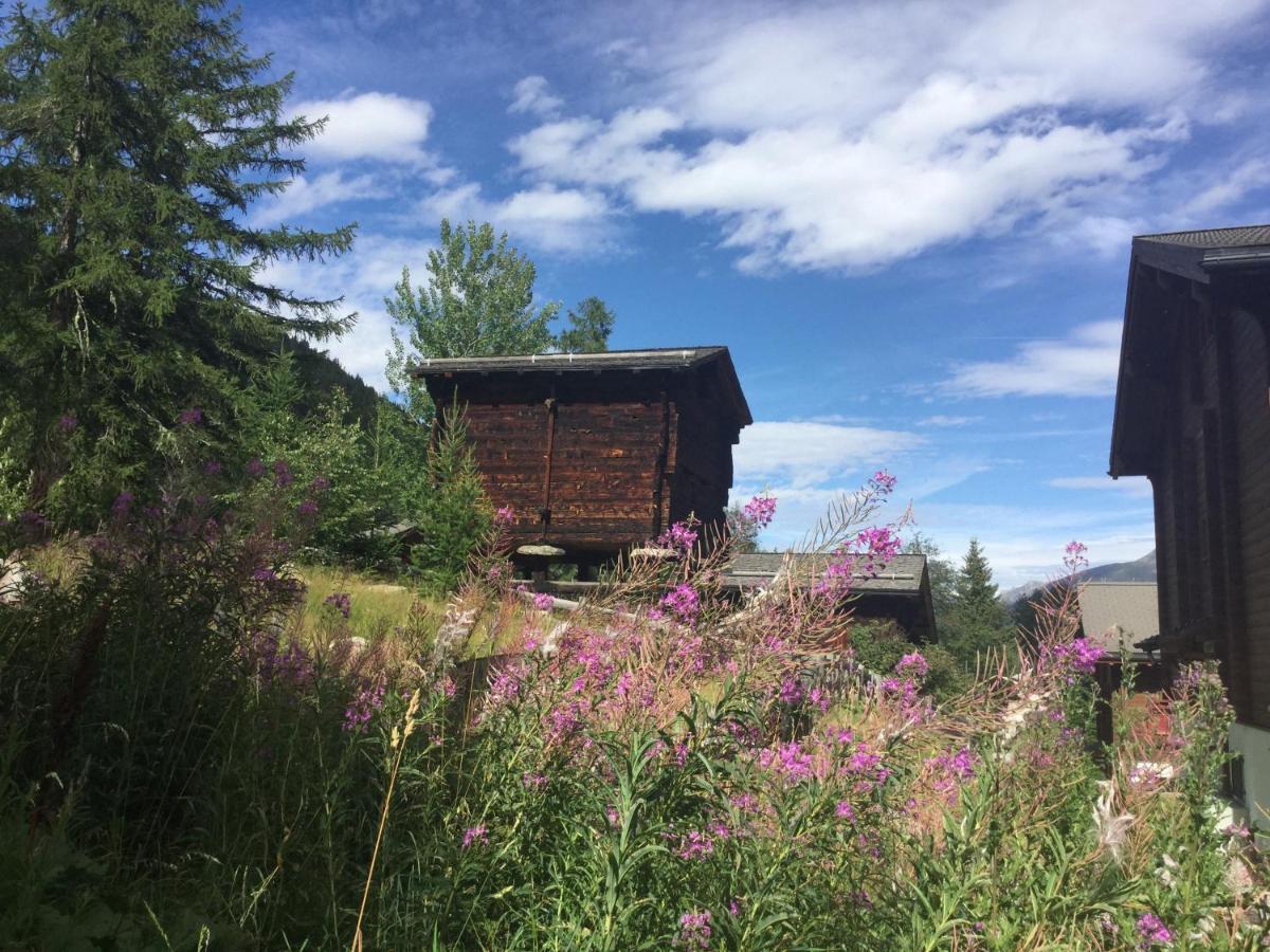 Laerchenwald Lodge Bellwald Eksteriør billede