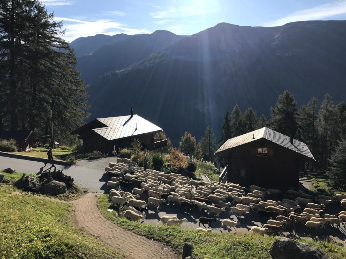 Laerchenwald Lodge Bellwald Eksteriør billede